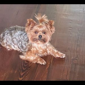 Meet your Posher, Rachel